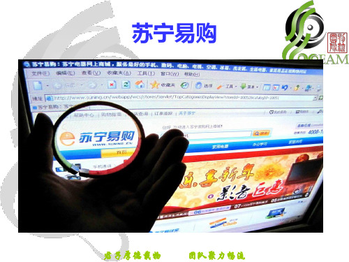 苏宁易购劣势(改)