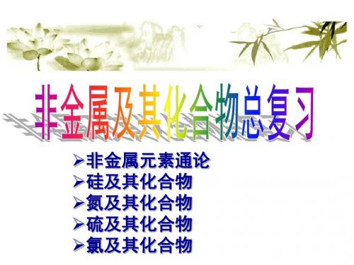 高考非金属及其化合物总复习公开课.