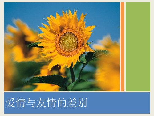 爱情与友情的差别