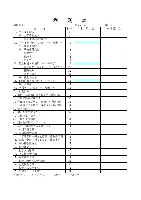 财务报表电子档