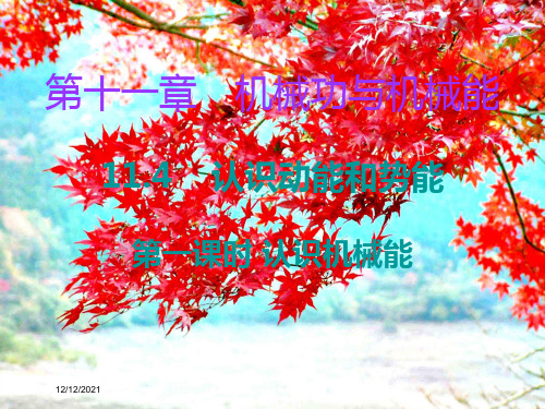 九年级物理上册. 11.4 认识动能和势能(第1课时)课件 粤教沪版粤教沪级上册物理课件