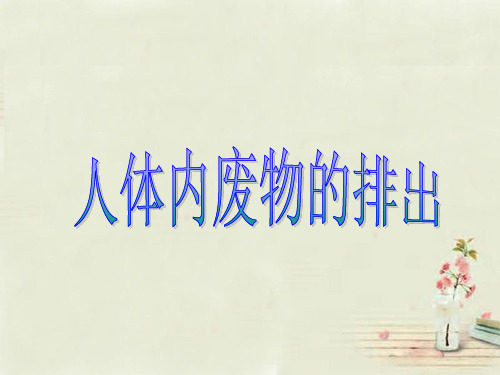 苏科版生物八上15.2《人体内废物的排出》 课件(共21张PPT)