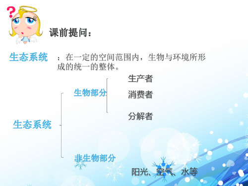 第三节 生物圈是最大的生态系统课件 人教版生物七年级上册