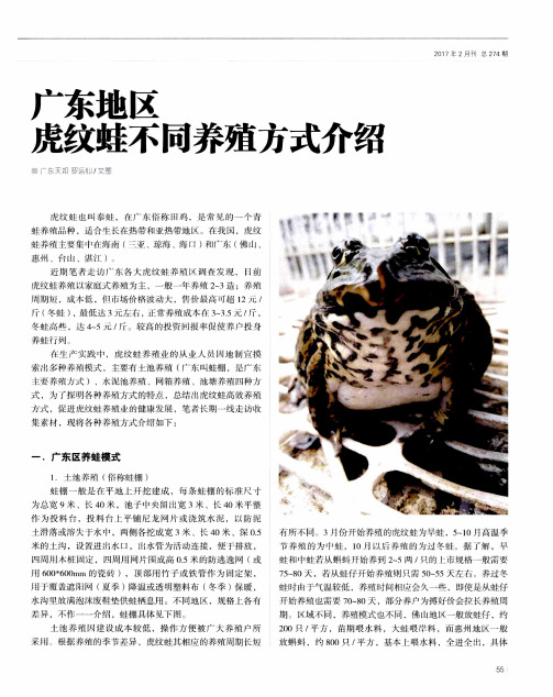 广东地区虎纹蛙不同养殖方式介绍