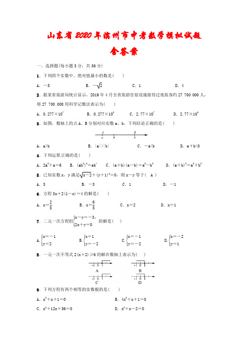 山东省2020年滨州市中考数学模拟试题 (含答案)