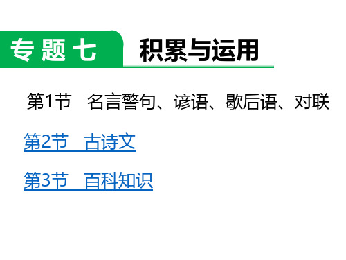 六年级下册语文课件-小升初专题复习七  积累与运用 (共27张PPT) 全国通用