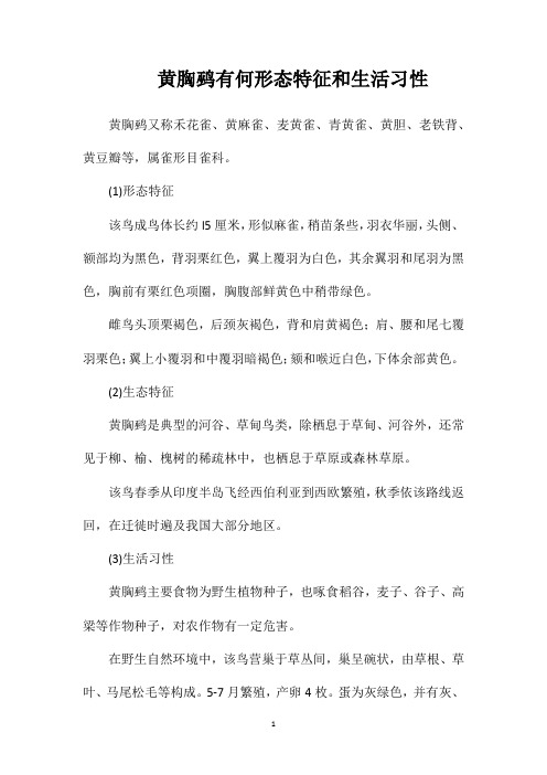 黄胸鹀有何形态特征和生活习性