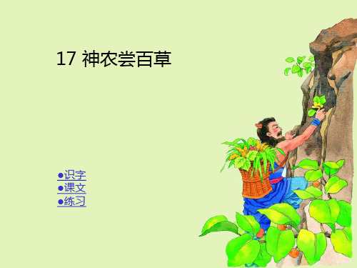 017第十七课 神农尝百草