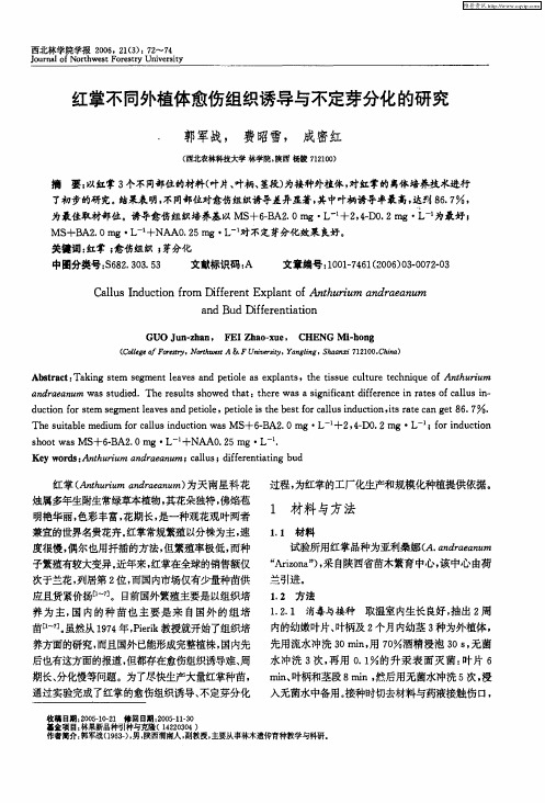 红掌不同外植体愈伤组织诱导与不定芽分化的研究