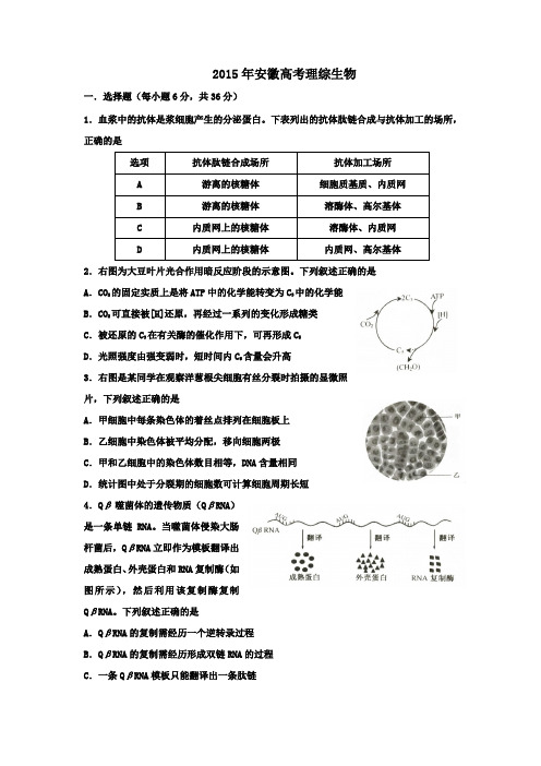 2015年安徽高考真题(含答案)
