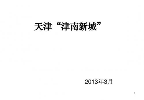 天津津南新城可行报告