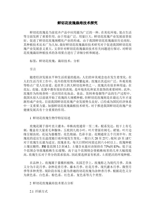 鲜切花玫瑰栽培技术探究