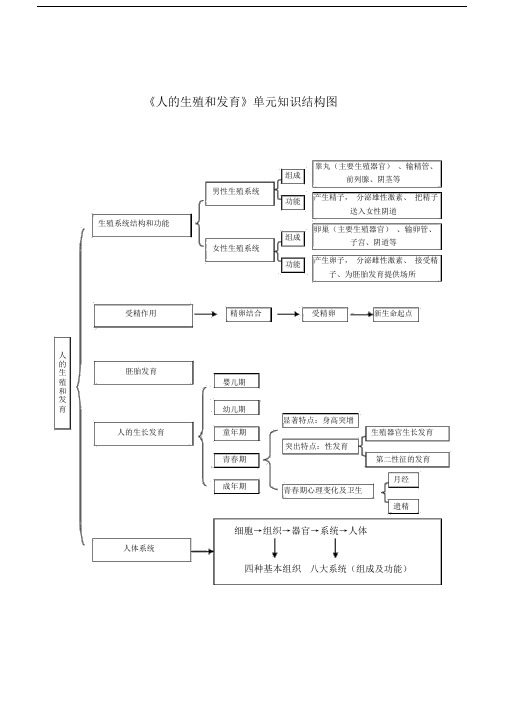 《人的生殖和发育》单元知识结构图.doc