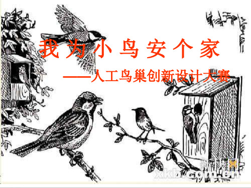 人工鸟巢模型制作完整ppt课件