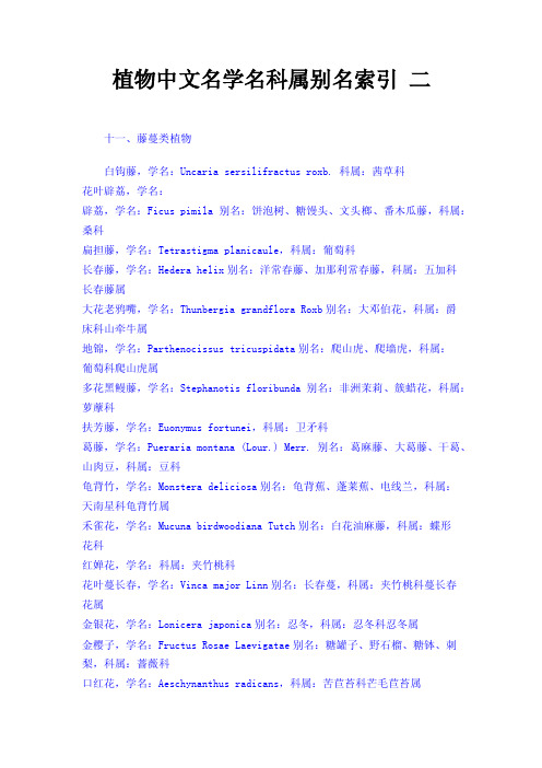 植物中文名学名科属别名索引二