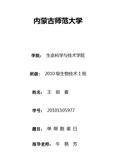 单细胞蛋白