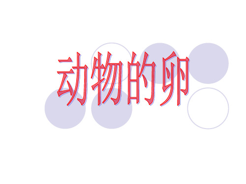 【教科版】动物的卵ppt优秀课件1