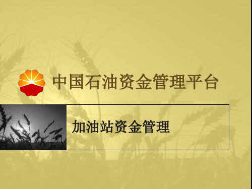 资金管理平台加油站资金管理课件
