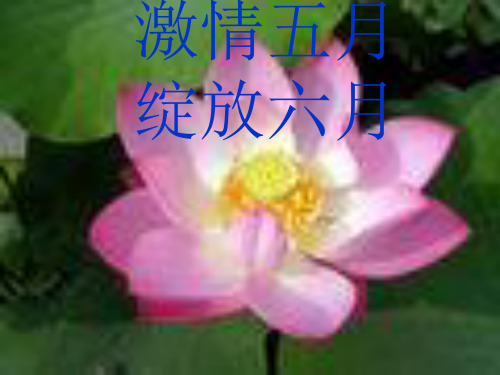激情五月,绽放六月--高考前30天主题班会