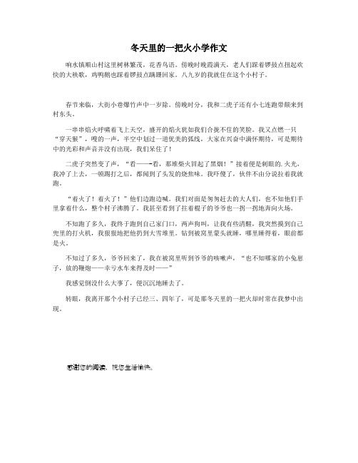 冬天里的一把火小学作文