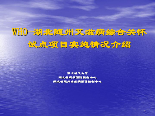 WHO-湖北随州艾滋病综合关怀试点项目实施情况介绍.