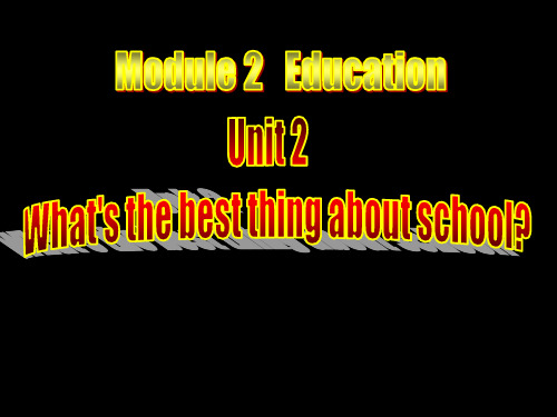 最新外研版九年级下Module2 Unit2课件(共22张PPT)