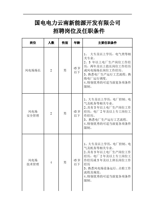 国电电力云南新能源开发有限公司招聘岗位及任职条件