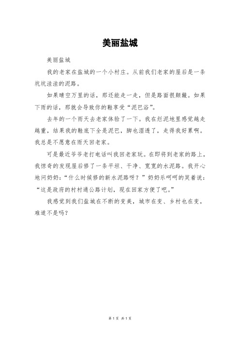 美丽盐城_三年级作文