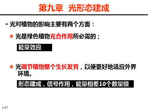 植物生理学：009 光形态建成