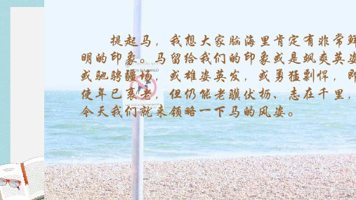 七年级语文下册(人教版)29.马ppt课件