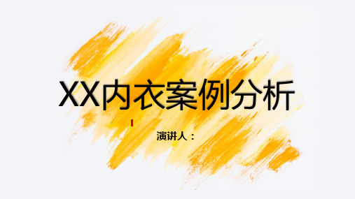 XX内衣案例分析