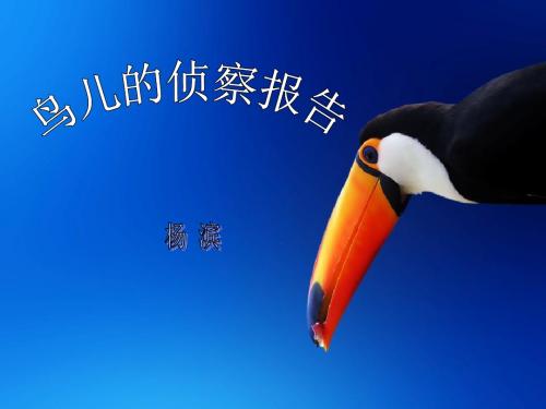 《鸟儿的侦察报告》 精品PPT课件4(共35张)