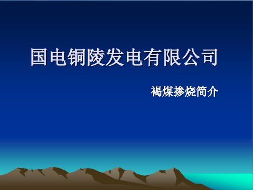 褐煤掺烧工作方案