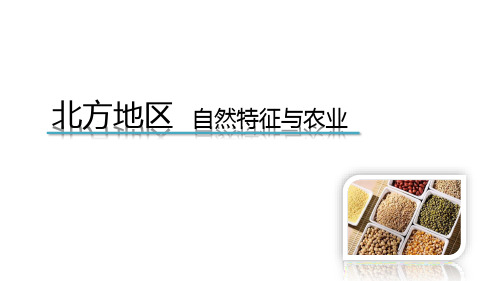 人教版八年级 下册6.1自然特征与农业课件