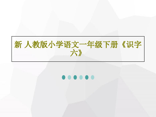 新 人教版小学语文一年级下册《识字六》共52页文档