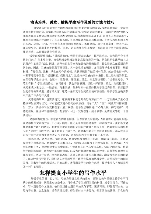 浅谈培养学生的写作技巧及创作灵感