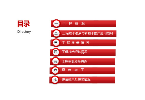 跨河大桥施工质量情况汇报PPT课件