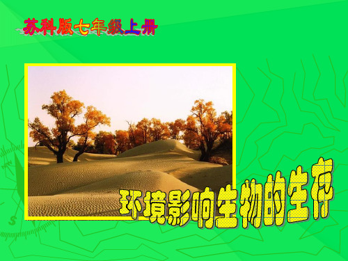 环境影响生物的生存PPT课件1 苏科版优秀课件