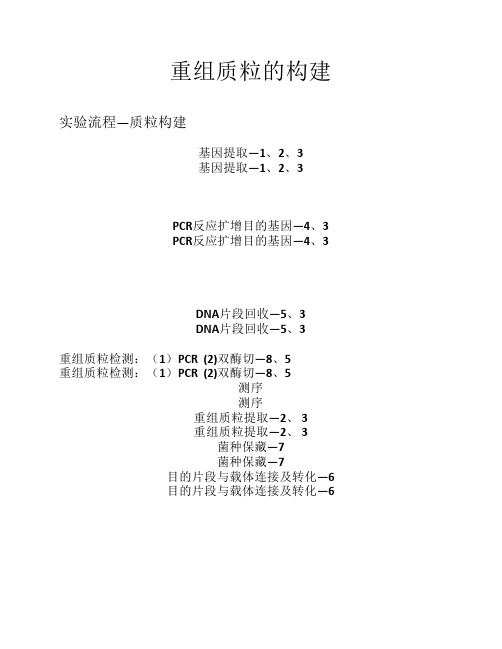 重组质粒的构建.