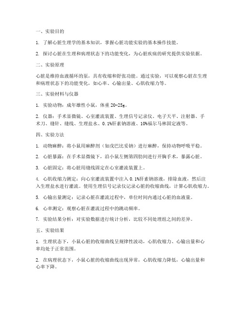 小鼠实验心脏实验报告