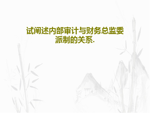 试阐述内部审计与财务总监委派制的关系.共19页文档