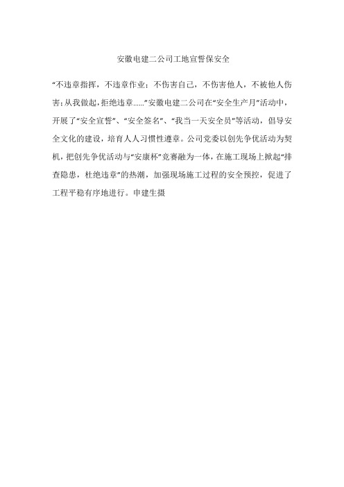安徽电建二公司工地宣誓保安全