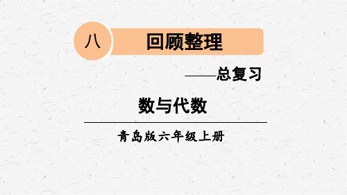 青岛版六年级上数学总复习专题1 数与代数