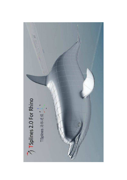 TSpline2.0海豚建模教程