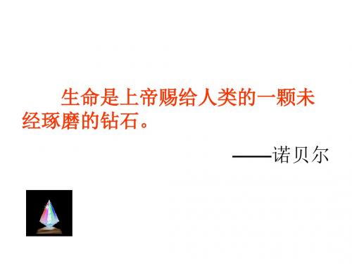 七年级语文上册《理想》课件 新人教版