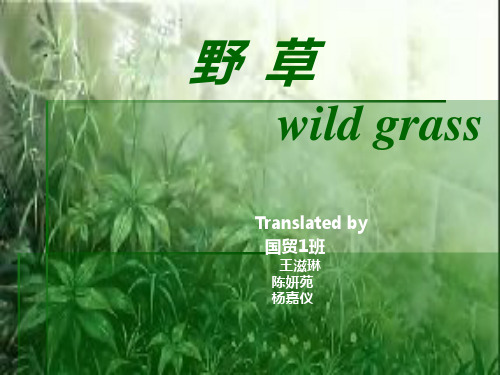 夏衍《野草》中译英 赏析