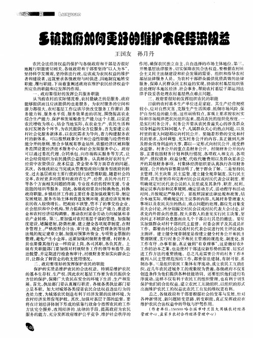 乡镇政府如何更好的维护农民经济权益