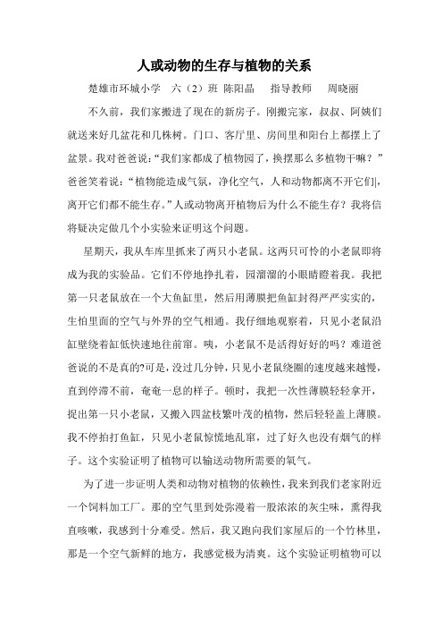 人或动物的生存与植物的关系