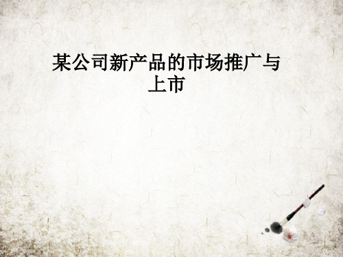 某公司新产品的市场推广与上市