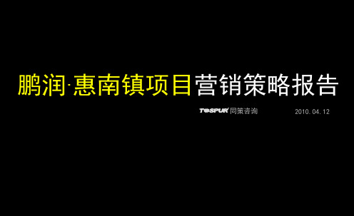 同策_上海鹏润惠南项目营销推广执行策略报告_131页_XXXX年